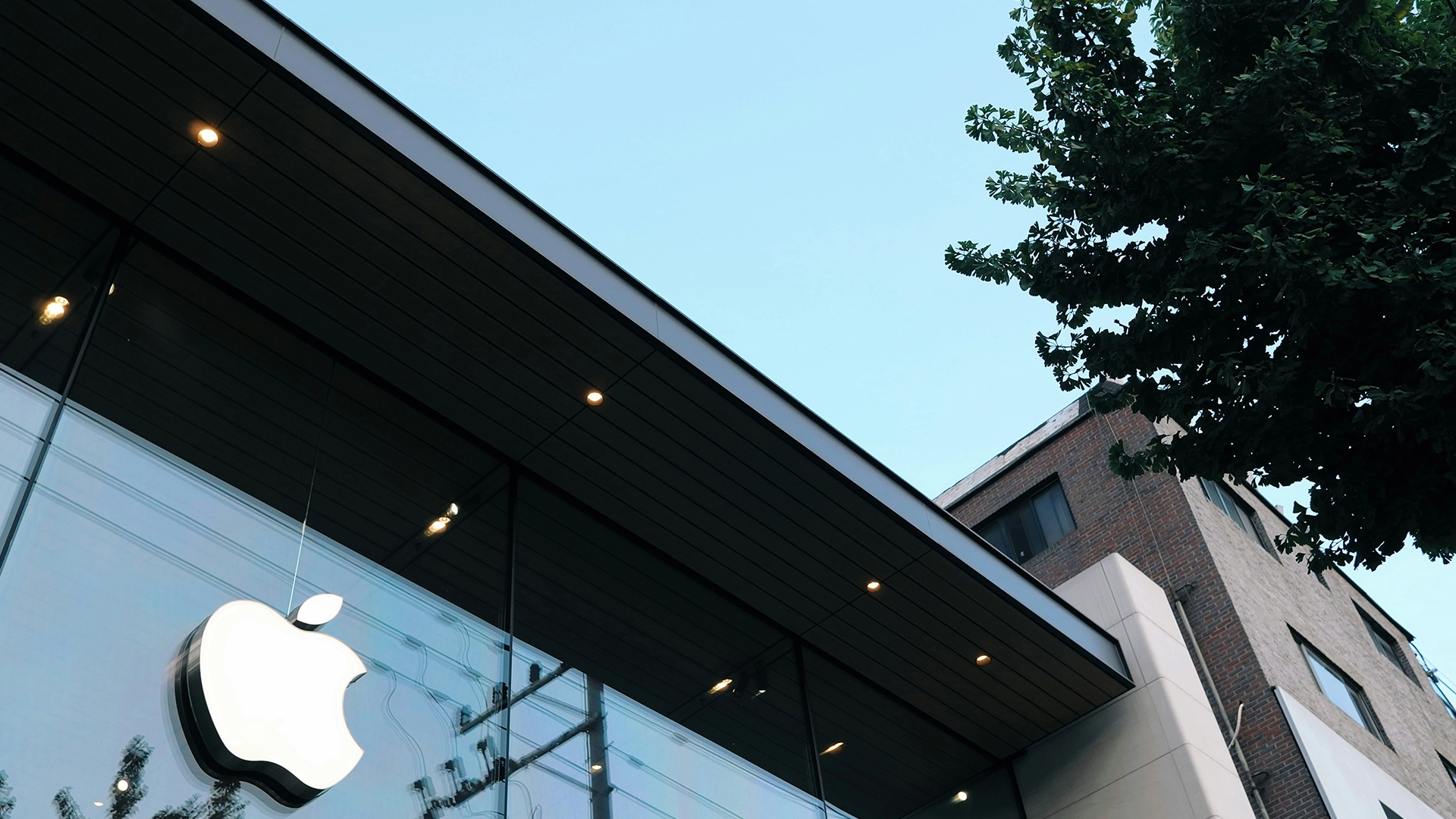 Apple inwestuje 99 milionów dolarów w czystą energię w Chinach, aby osiągnąć 100% odnawialny łańcuch dostaw do 2030 roku