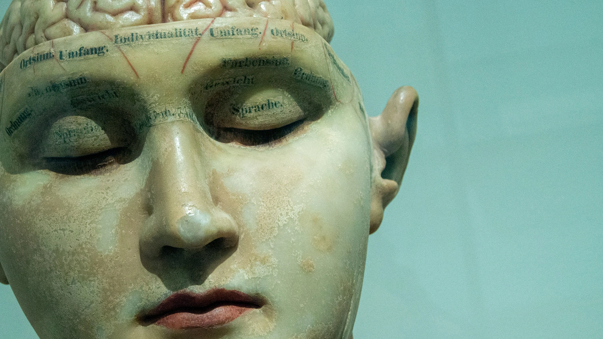 OpenAI Wsparcie dla Startupu Mózg-Komputer o Wartości 850M Dolarów Konkurującego z Neuralink Muska